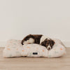 Colorful rainbow cotton dog bed with ergonomic support