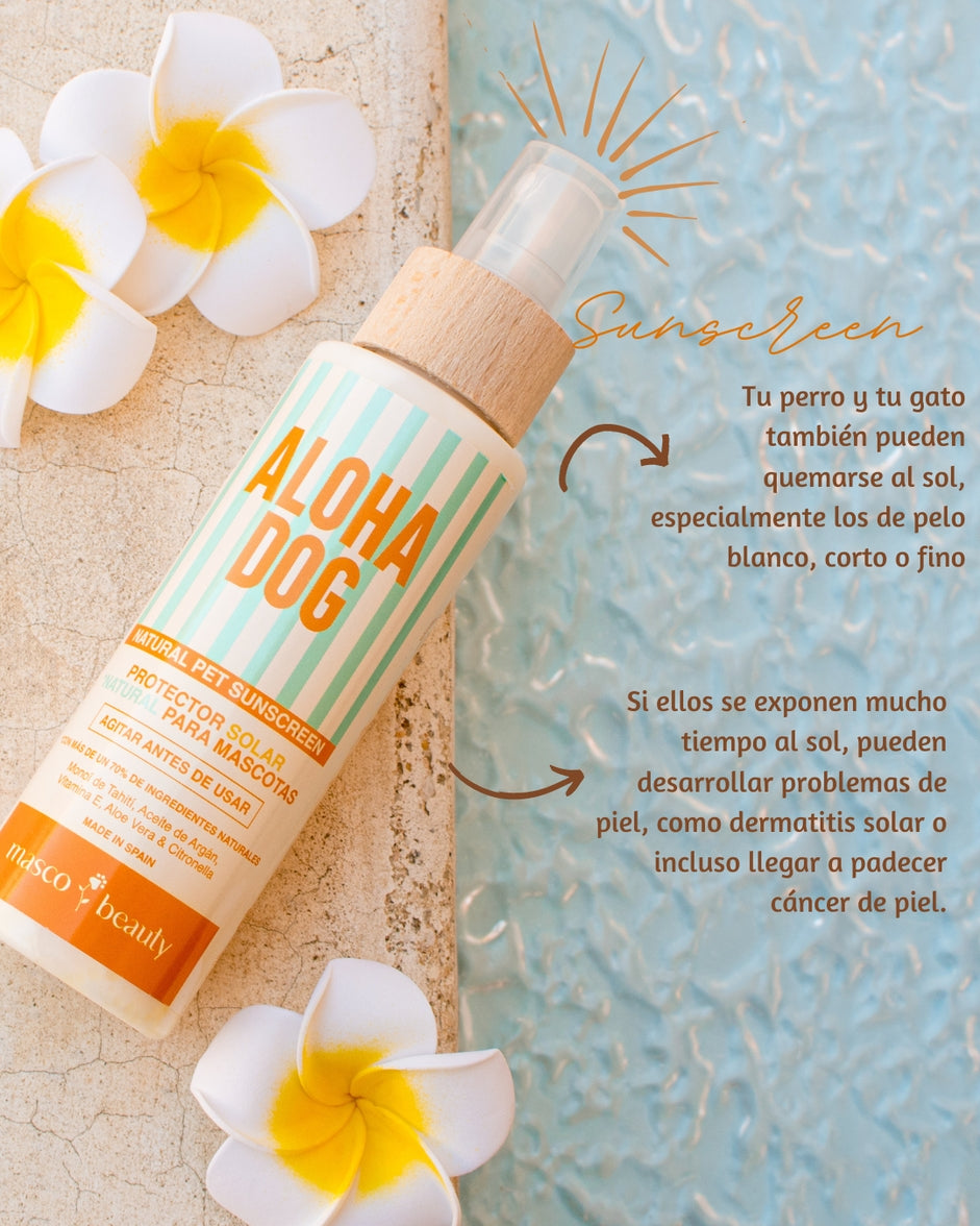 Lightweight sunscreen spray for dogs outdoors