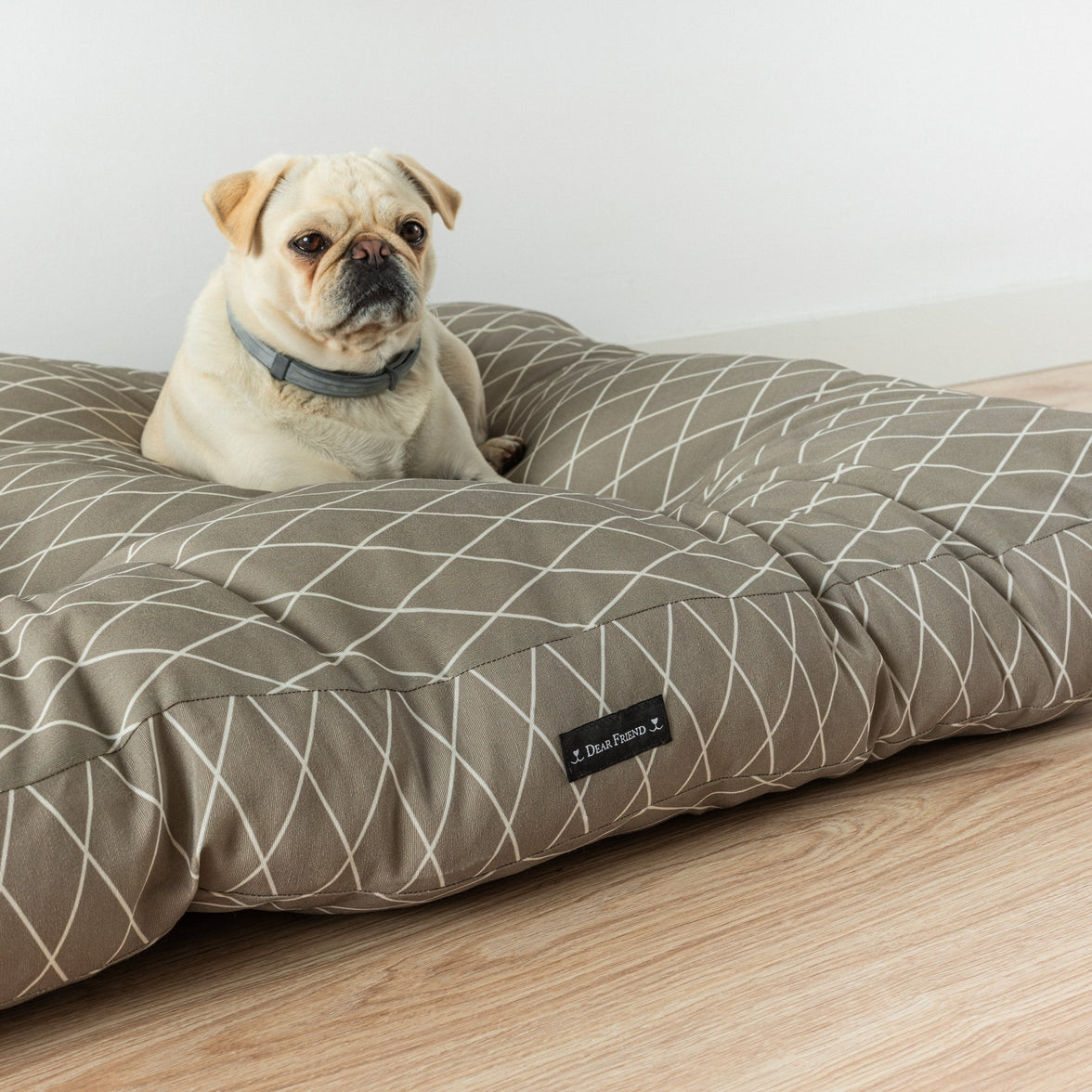Hypoallergenic washable pet bed for dogs and cats