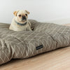 Hypoallergenic washable pet bed for dogs and cats