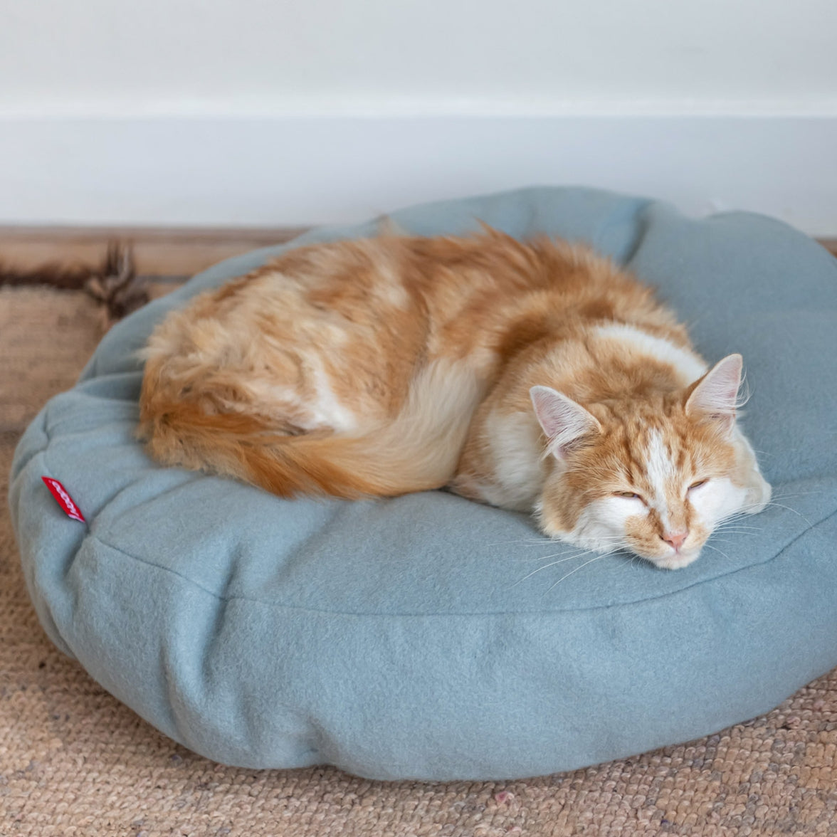 Modern donut cat bed that complements home décor