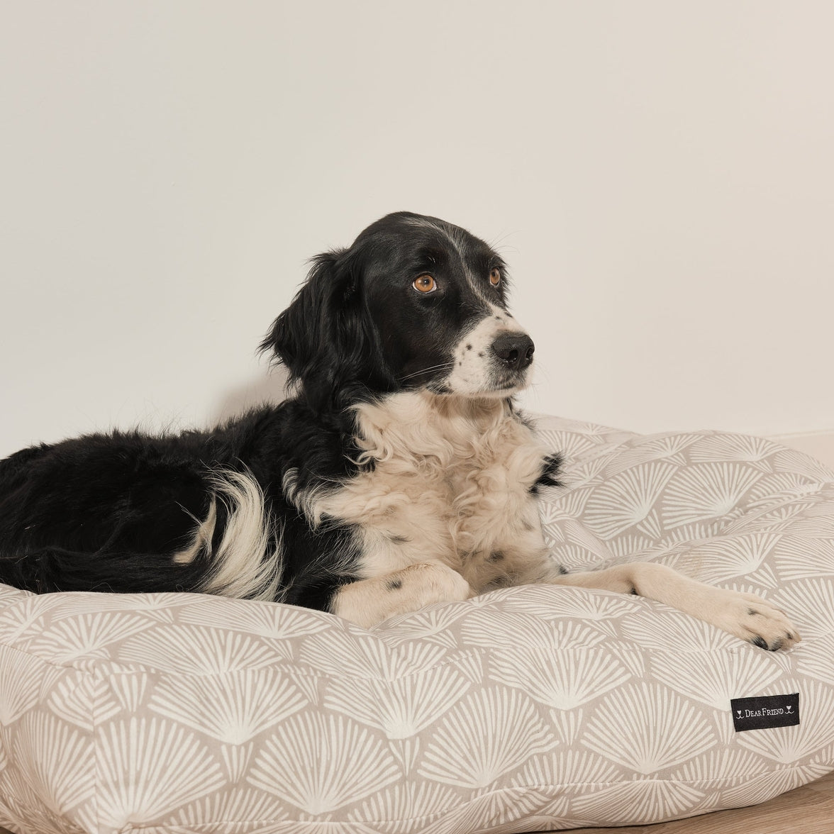 Luxury pet bed for small and large dogs and cats