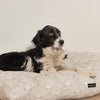 Luxury pet bed for small and large dogs and cats
