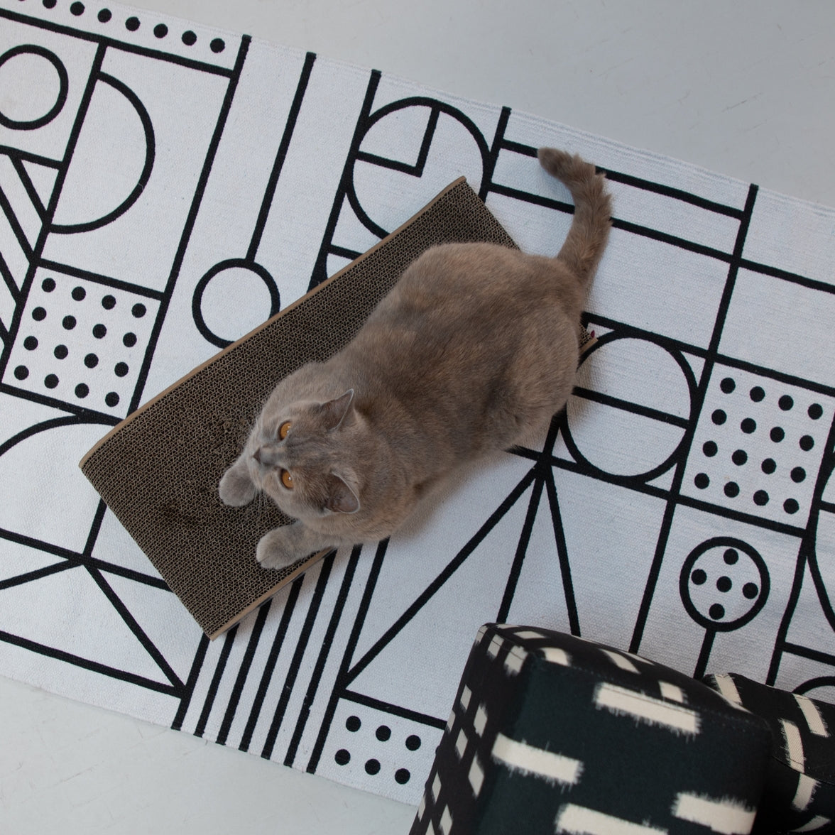 Affordable, recycled cardboard cat scratcher