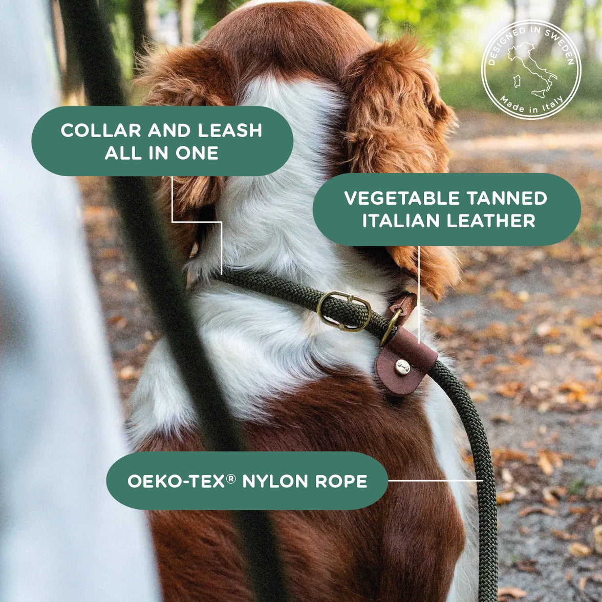 Luxurious dog leash 210 cm with Italian vegetable-tanned leather