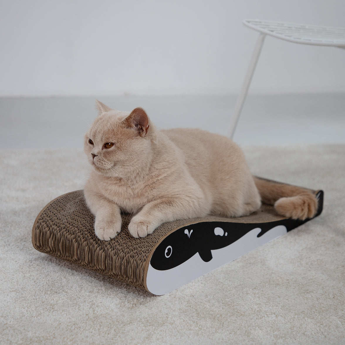 Eco-friendly cardboard scratching pad for cats