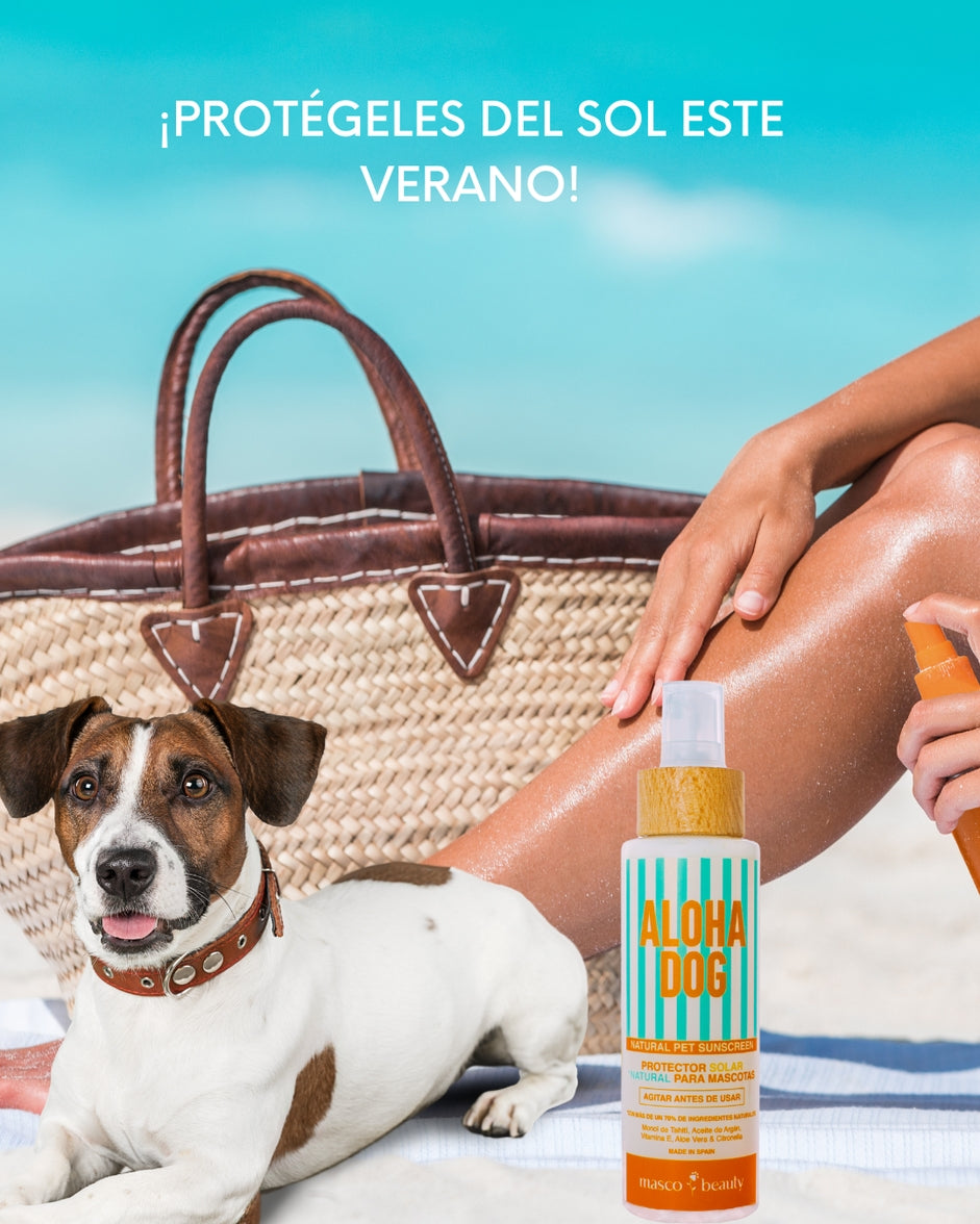 Sun protection for dogs with sensitive skin areas