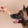 Dog nose moisturizer for dry, cracked skin