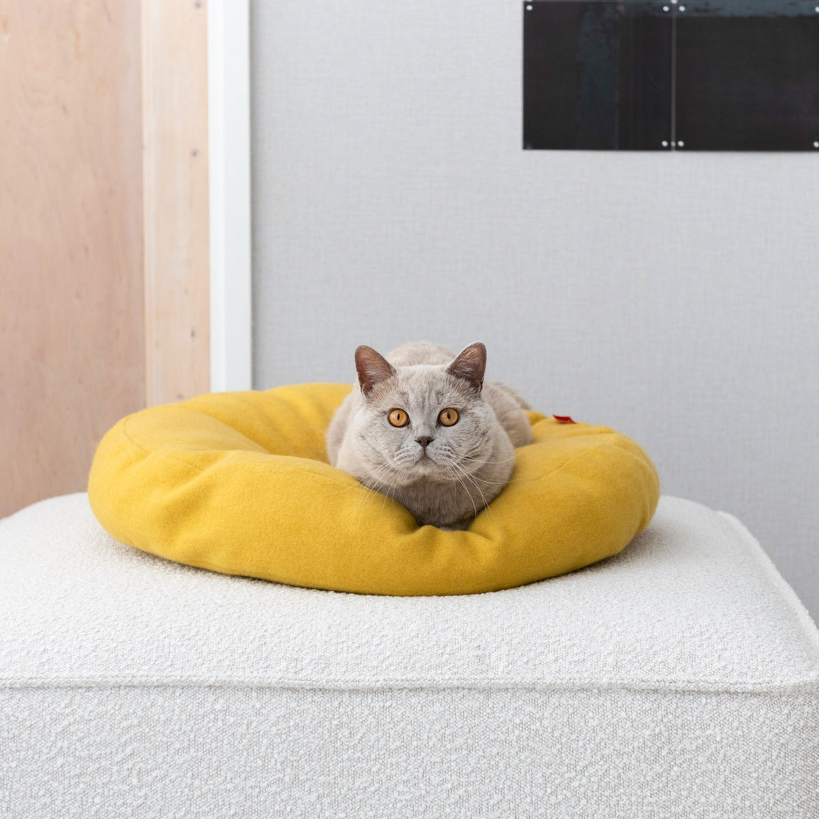 Soft and comfortable donut-shaped cat bed