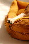 zipped dog bed