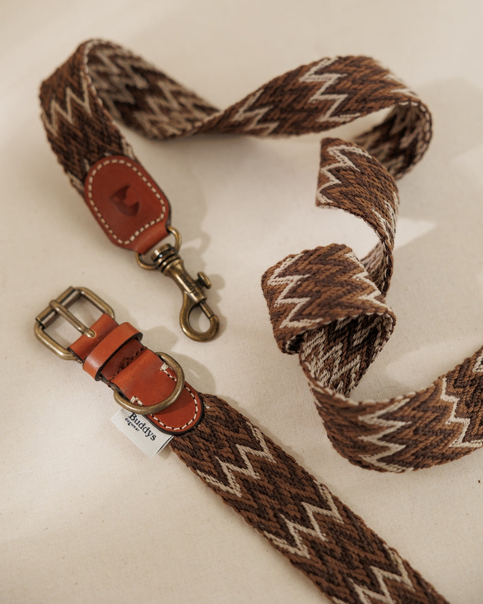 Handmade Adjustable Dog Leash with Artisan-Plaited Italian Cotton and French Leather