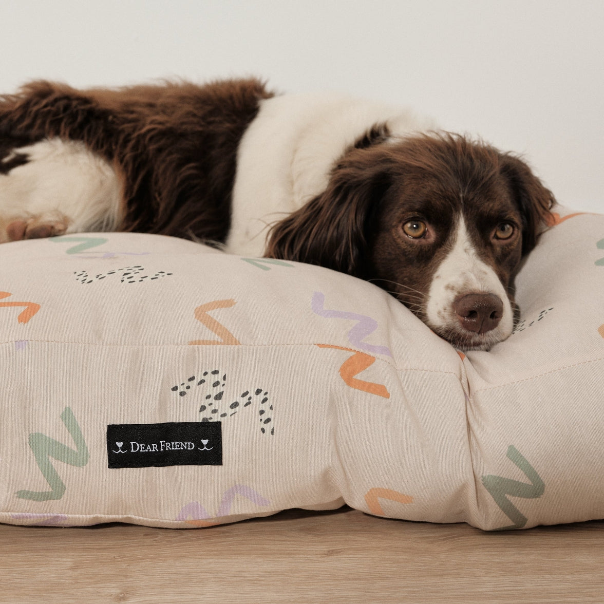 Water-resistant and washable dog bed in rainbow design