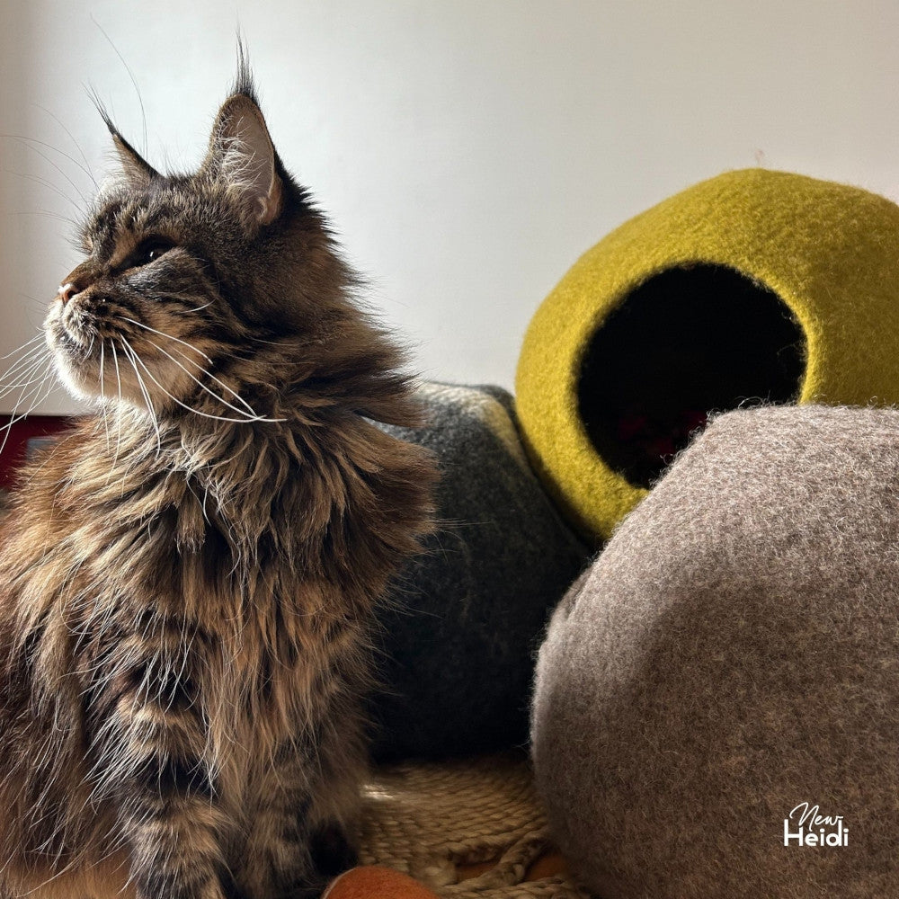 Handmade wool felt cat hut from Nepal