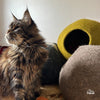 Handmade wool felt cat hut from Nepal