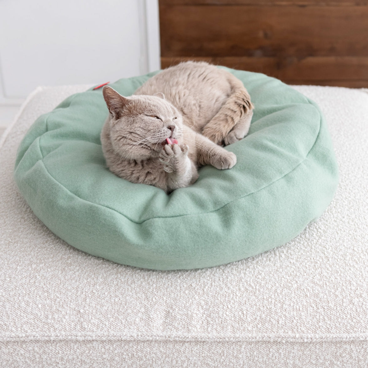 Portable and elegant cat bed for indoor use