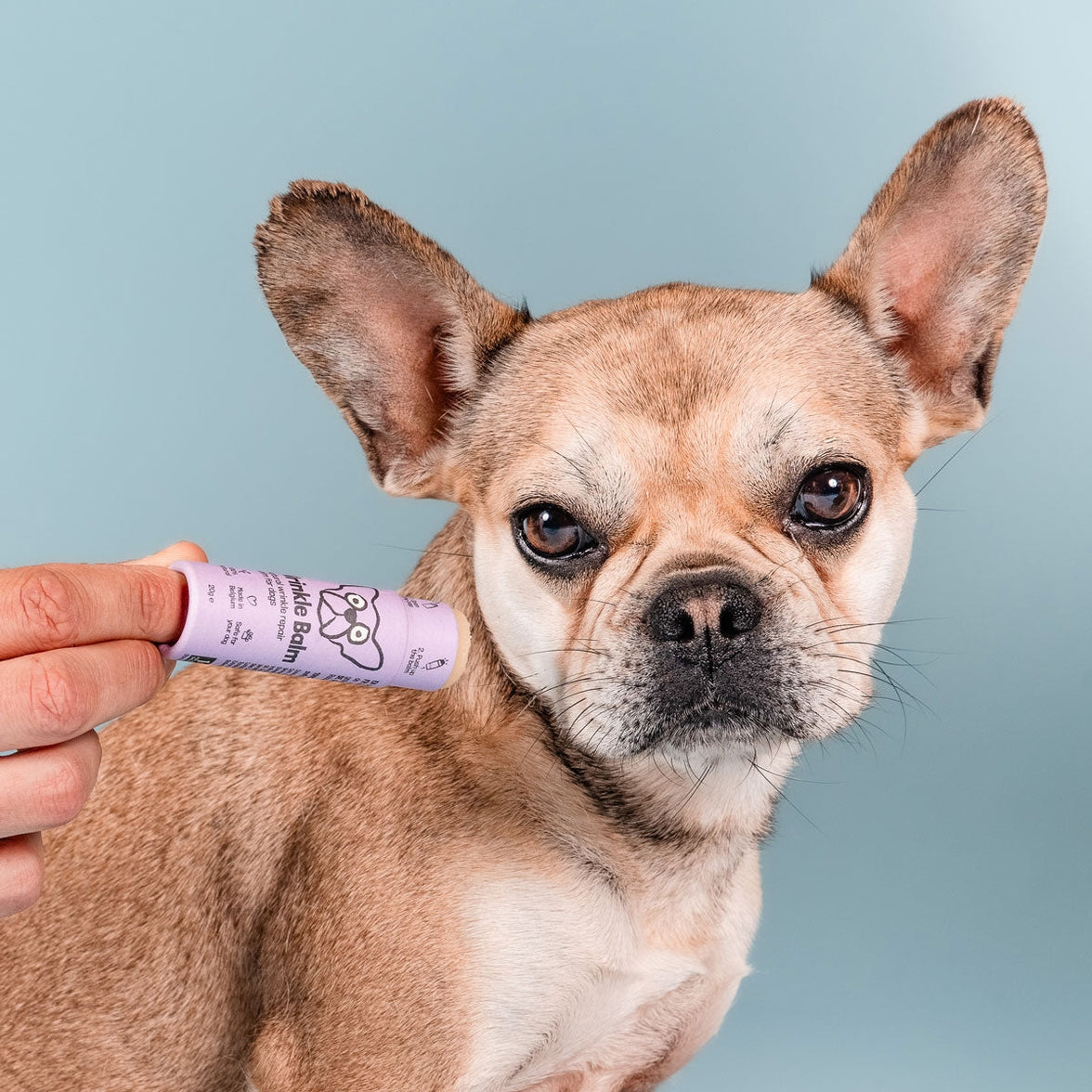 Natural wrinkle balm stick for dog skin care