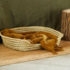 Handwoven palm leaf wicker dog basket