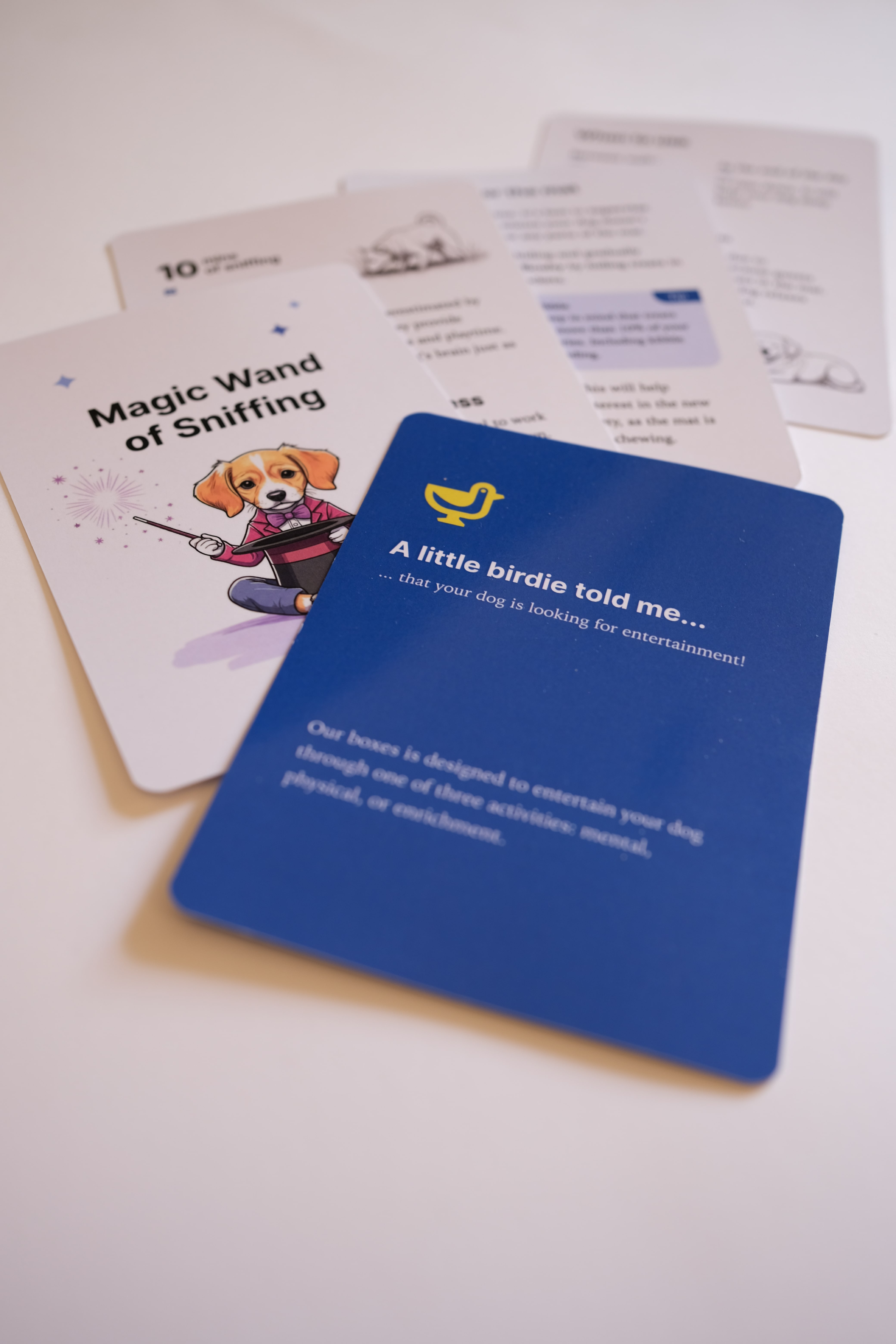 Snuffle mat with bonus training cards for dog owners