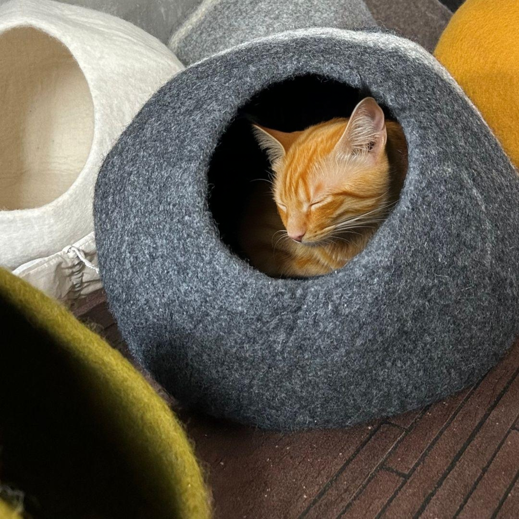 Hypoallergenic wool pet cave for small cats