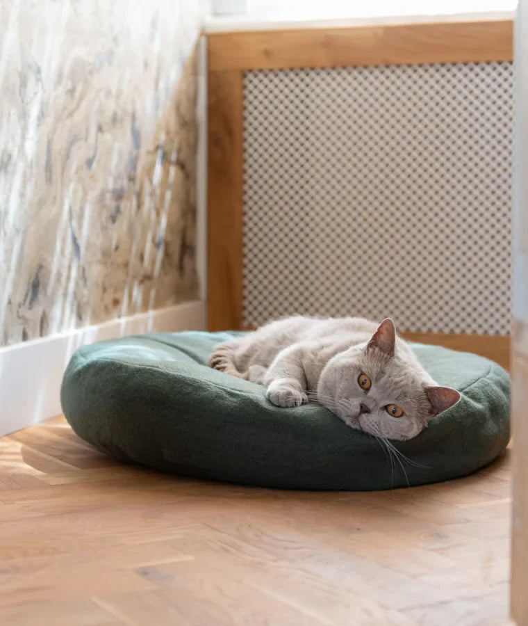 gray cat is laying on green cat bed in a donut shape