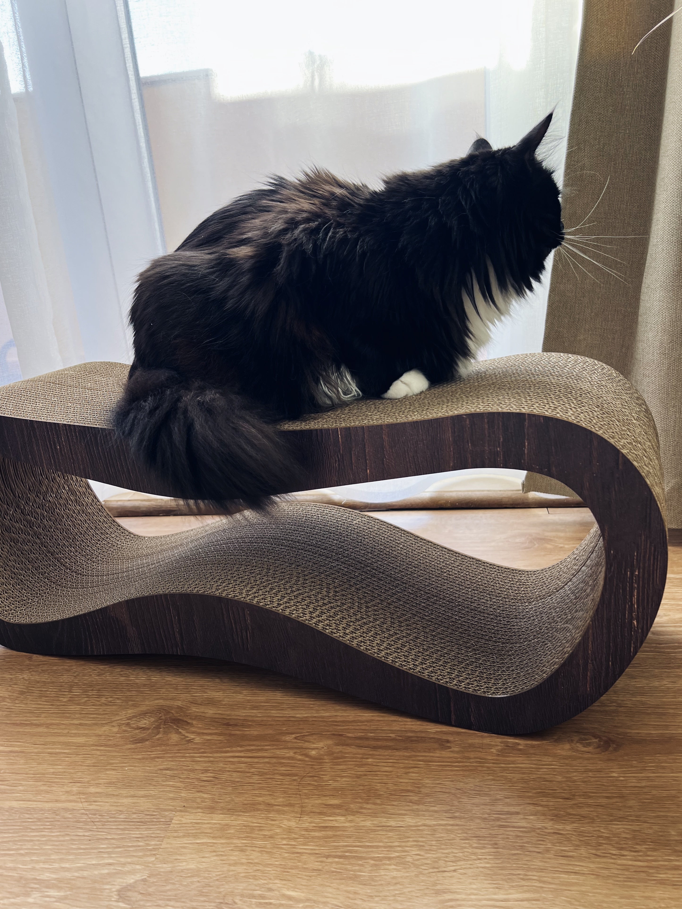 Recycled cardboard cat furniture for natural scratching
