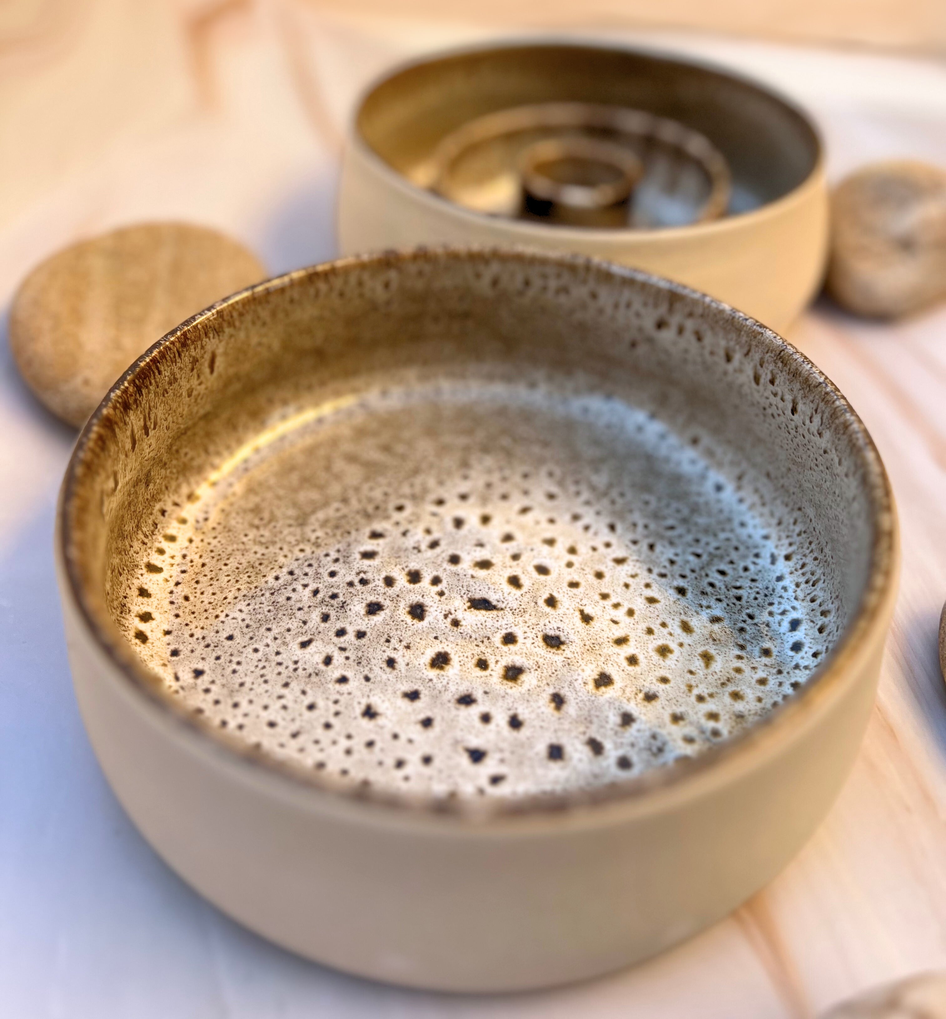 premium stoneware pet bowl
