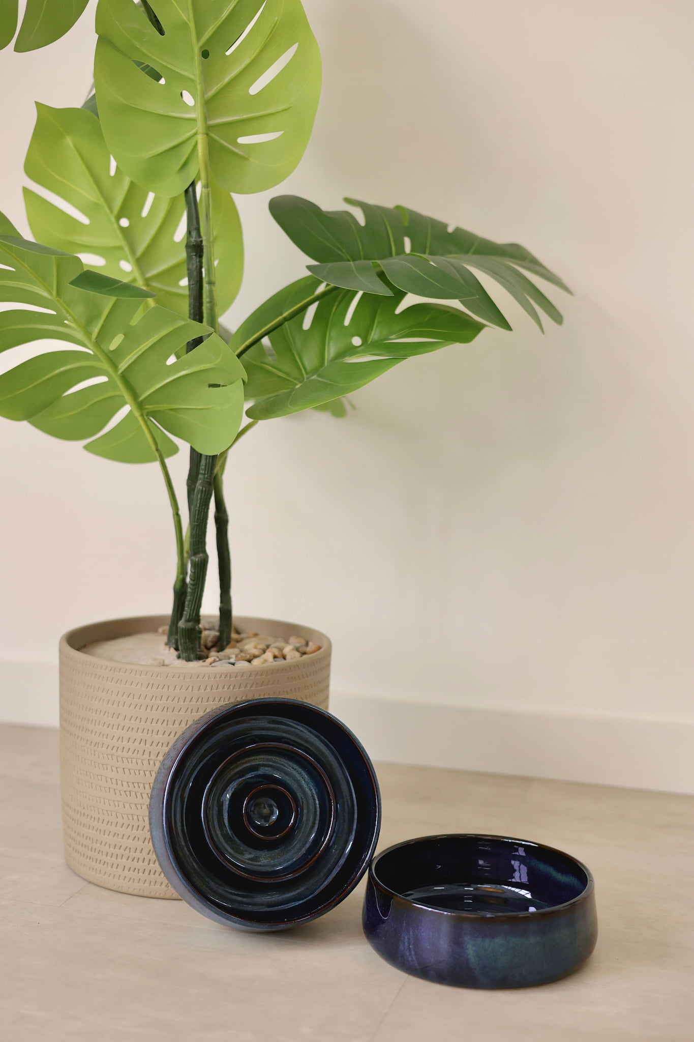 beautiful dog bowls set