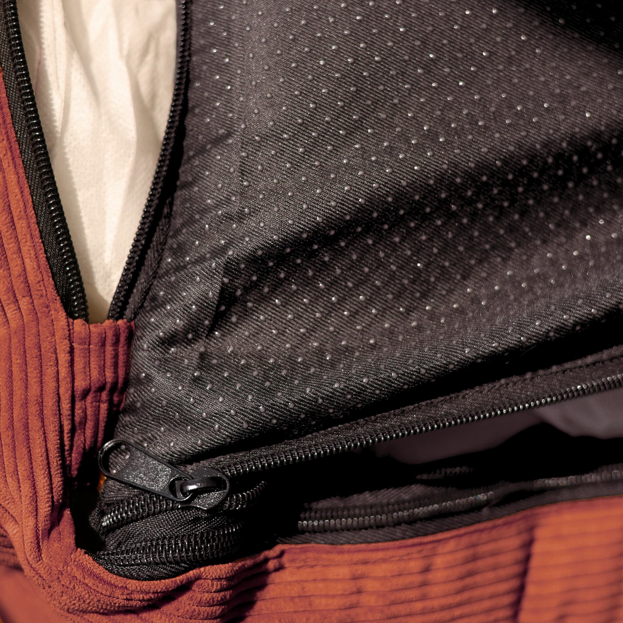 Close-up of a zipper on a dog bed with removable cover and anti slip bottom