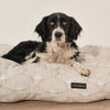 Hypoallergenic pet bed with ergonomic padding