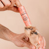 Weather-protective paw care stick for dogs