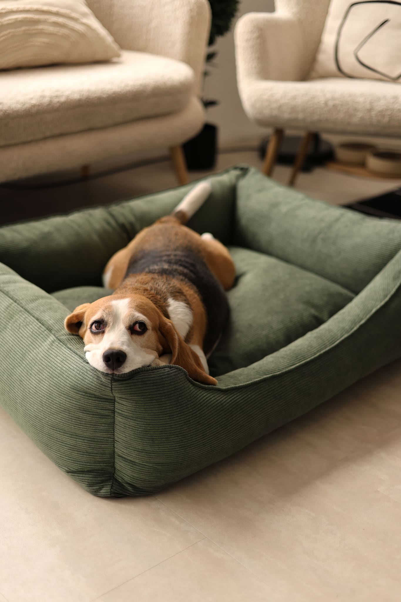 corduroy couch-style dog bed with raised bolsters