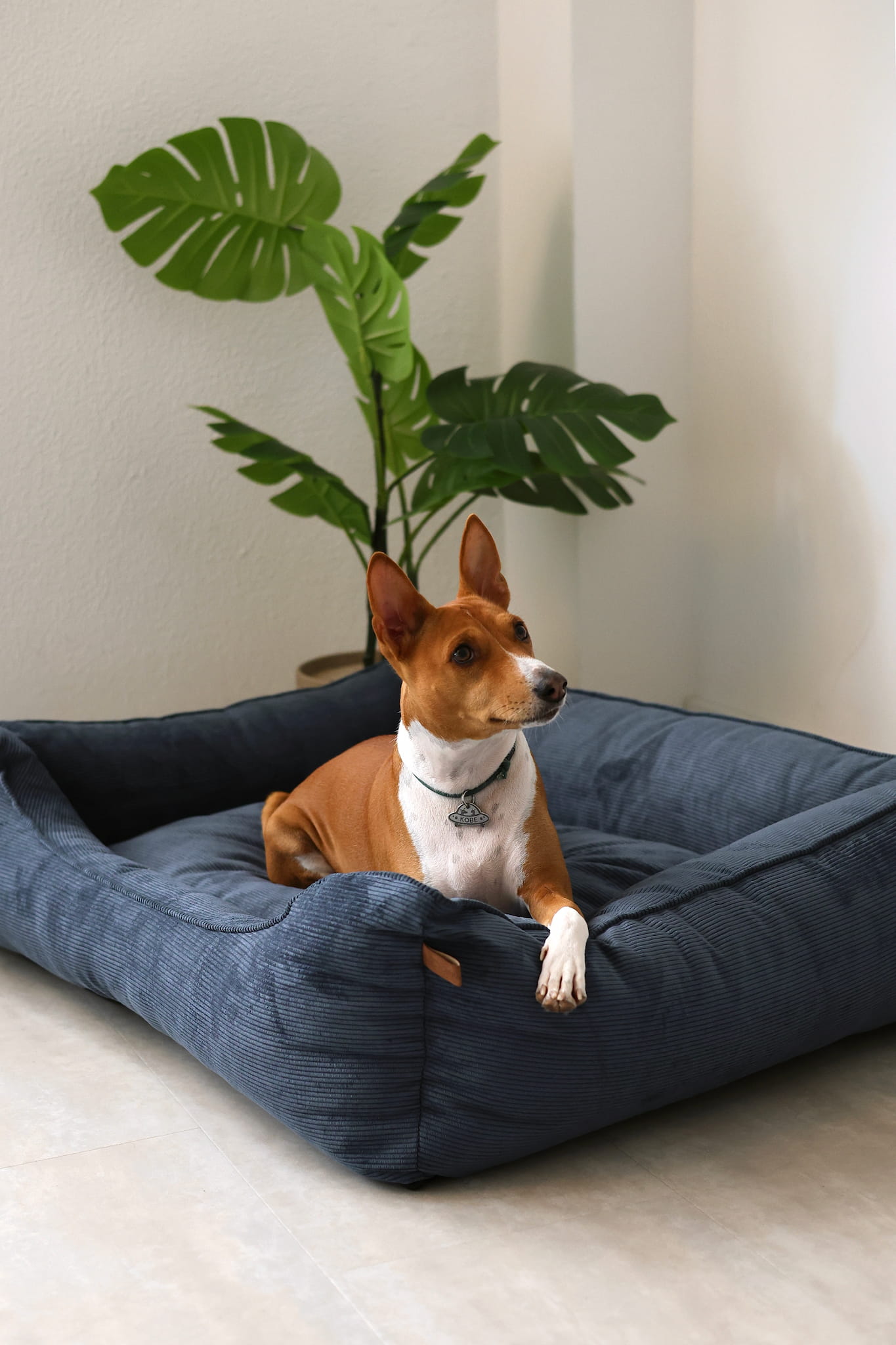 Bolster headrest providing neck support and proper sleep position