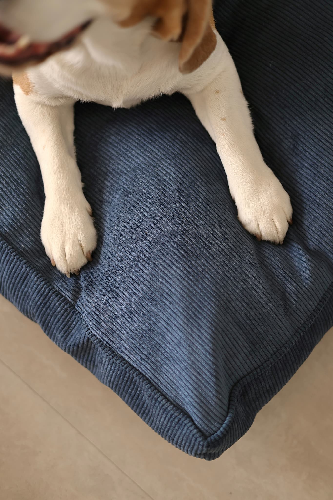 Premium dog cushions for stylish and comfortable pet rest