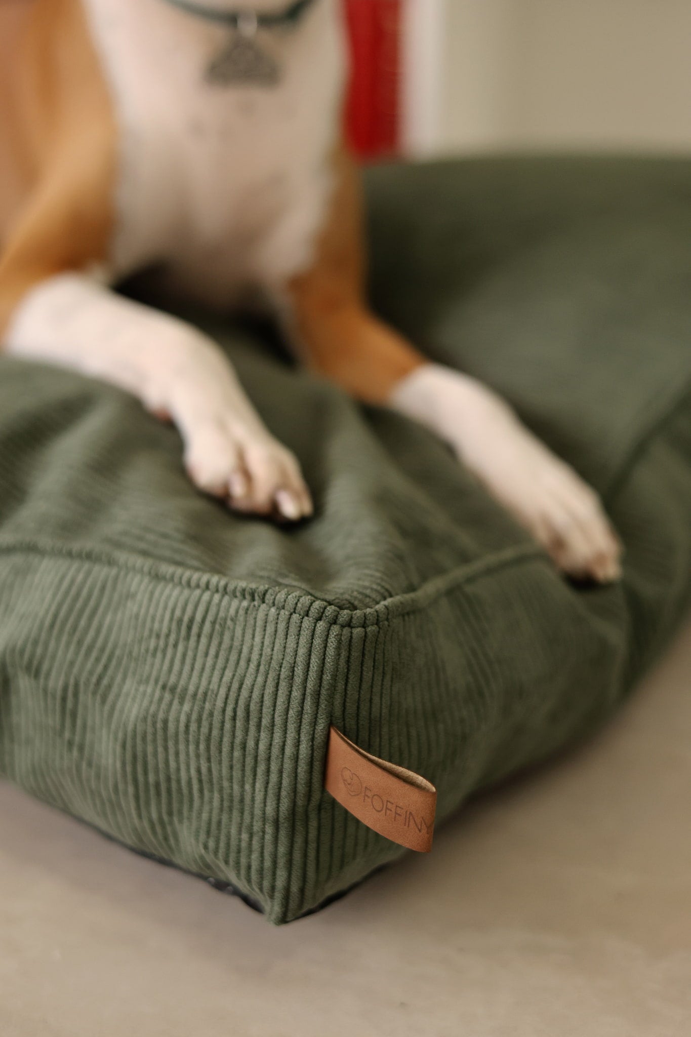 Dog lying on a green corduroy dog bed with a brand label Foffiny