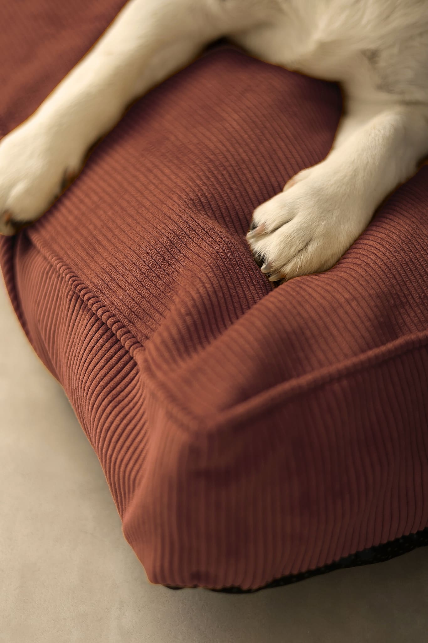 Red velvet pet bed with a dog's paws on it