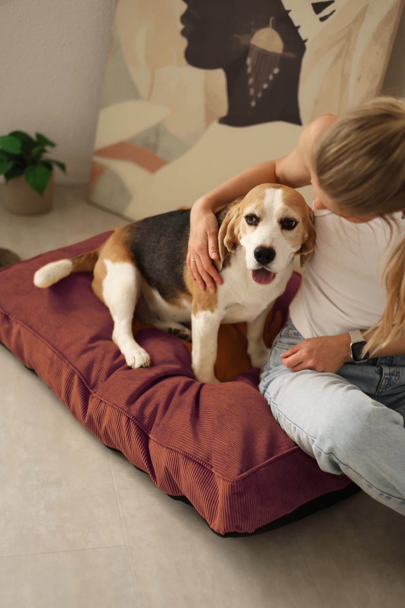 Person petting a dog on a red dog  cushion in a cozy room