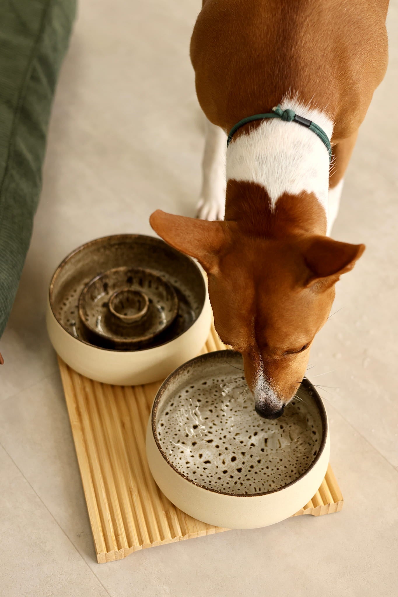 Best dog stoneware water bowl