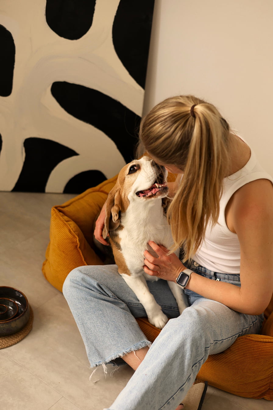 pet wellness products - Foffiny brand