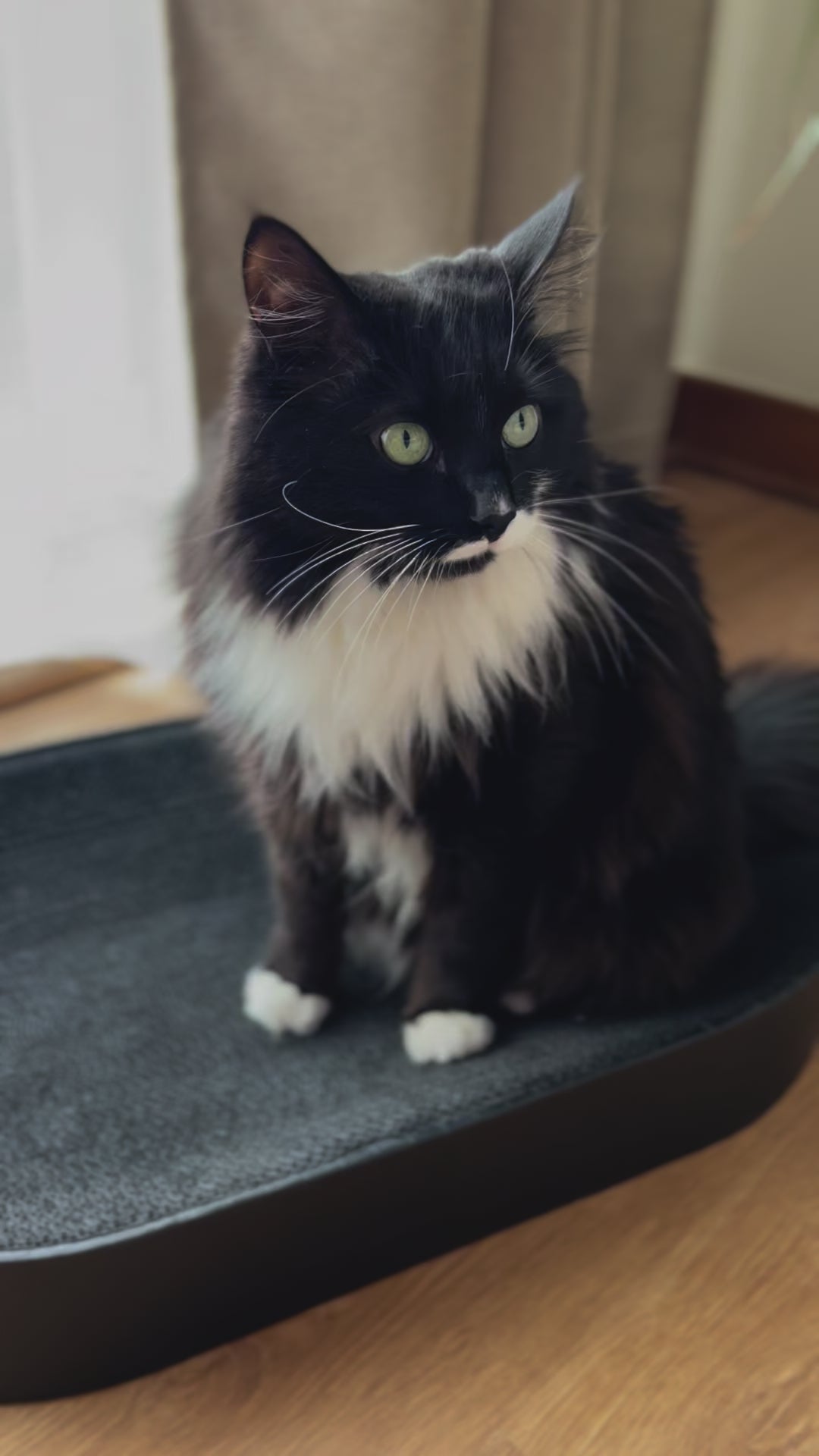 Foffiny