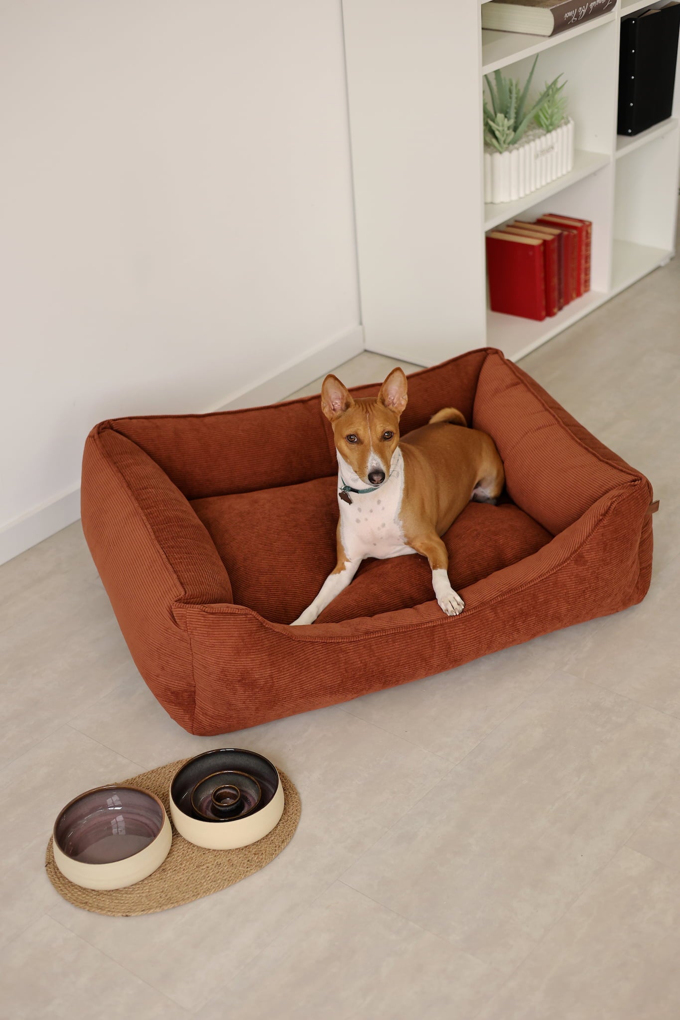 Terracotta corduroy couch-style dog bed with raised bolsters