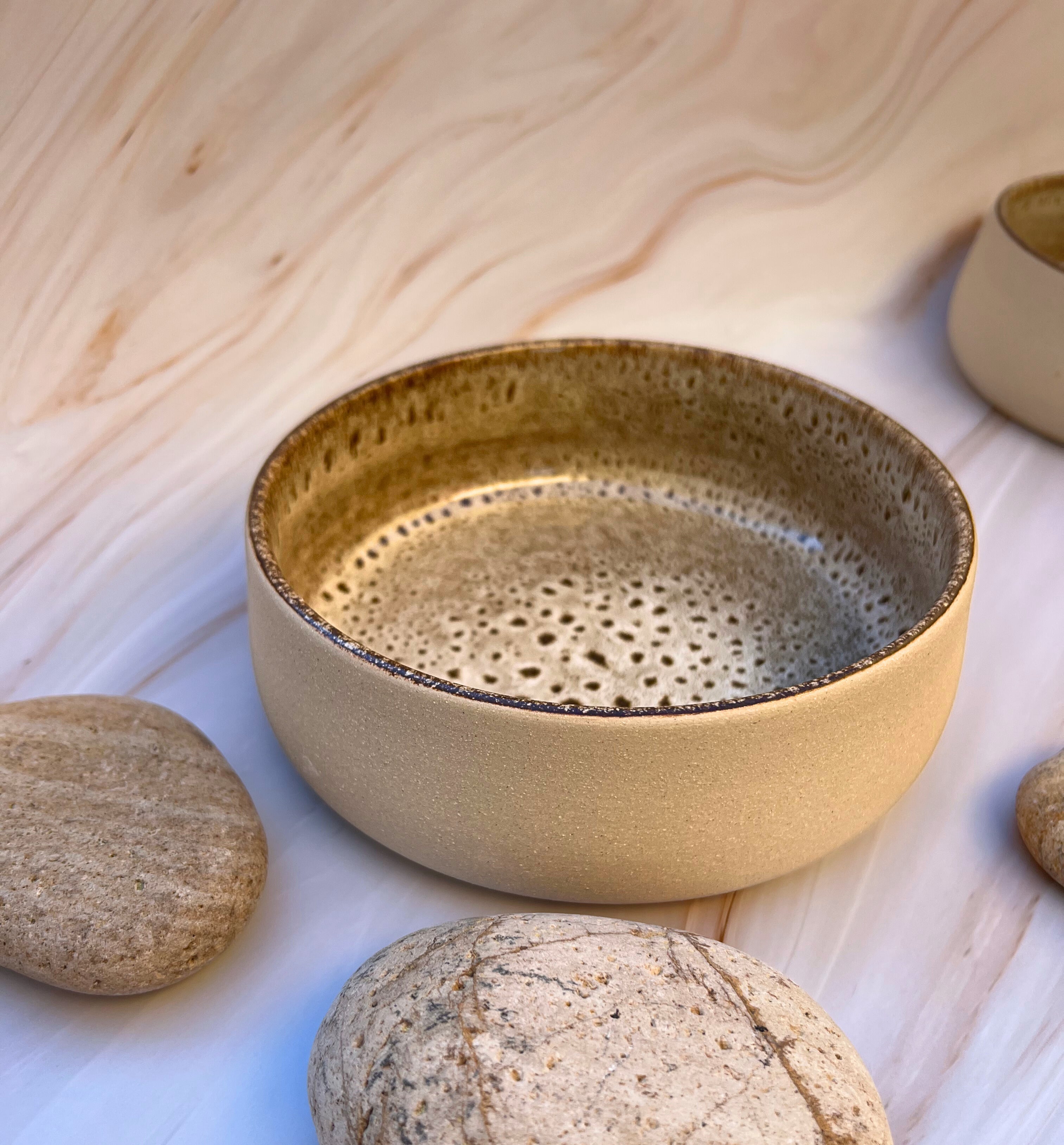 BPA-free ceramic pet bowl