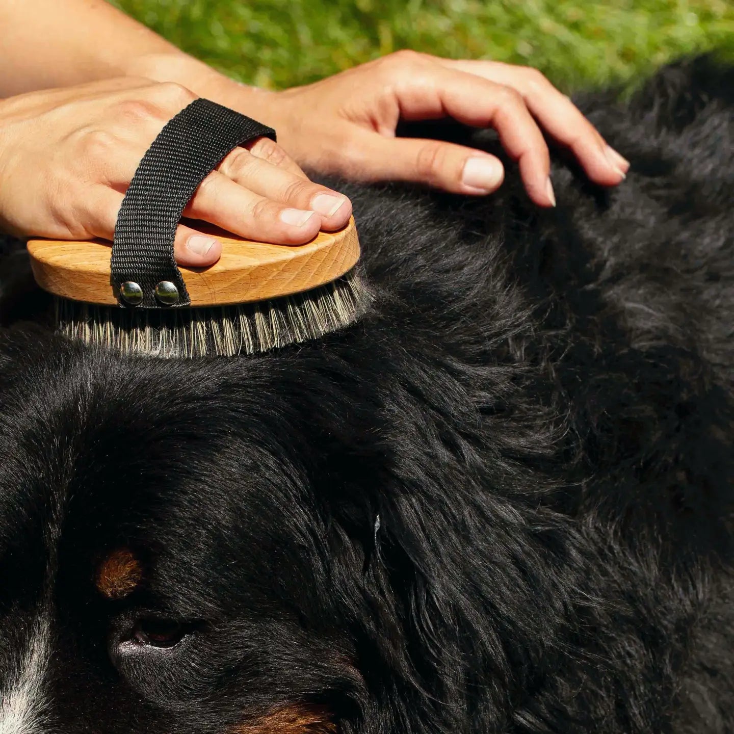 Detail of the smooth, eco-friendly wooden handle of the brush, showcasing the ergonomic design for a comfortable grip during extended gentle dog grooming.