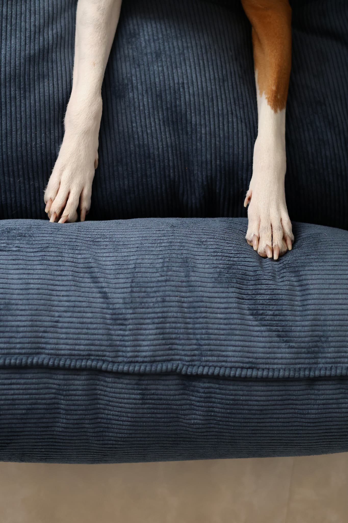 Close-up of the removable cover with dual zipper pulls